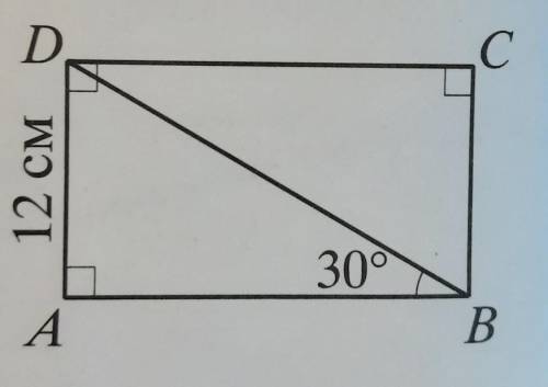 По данным рисунка найдите длину диагонали BD прямоугольника ABSD подалуйста. ​