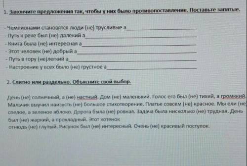 ПРАВОПИСАНИЕ НЕ С ПРИЛАГАТЕЛЬНЫМИ ​