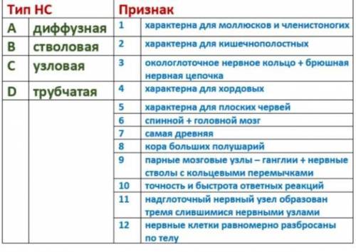 Установи соответствие между типом НС и признаком умоляю