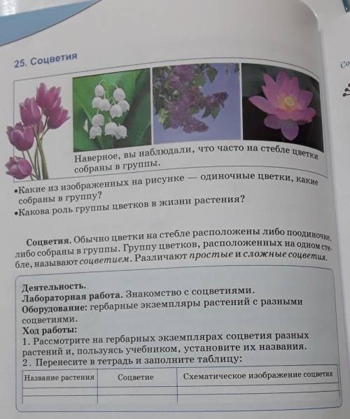 В деятельности надо сделать таблицу под номером большое!​