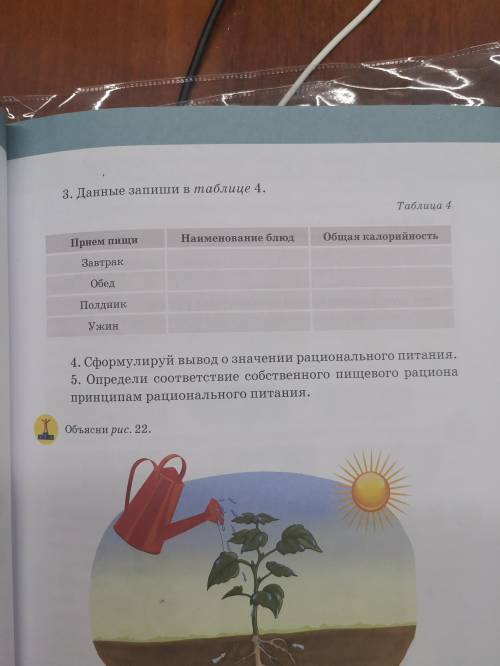 Используйте таблицу 3 и составьте суточный рацион питания. Данные впишите в таблицу 4.Выполните 4 и