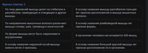 Верных ответов: 3 По типу движений мышцы делят на сгибатели и разгибатели, приводящие и отводящие и