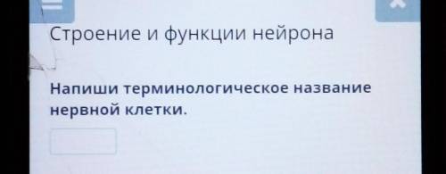 Строение и функции нейрона Напиши терминологическое названиенервной клетки.можете сказать ​