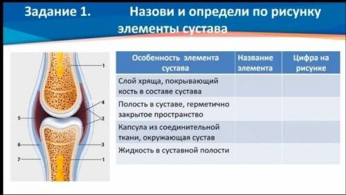 Биология тема строение и функции суставов, задание на фото​