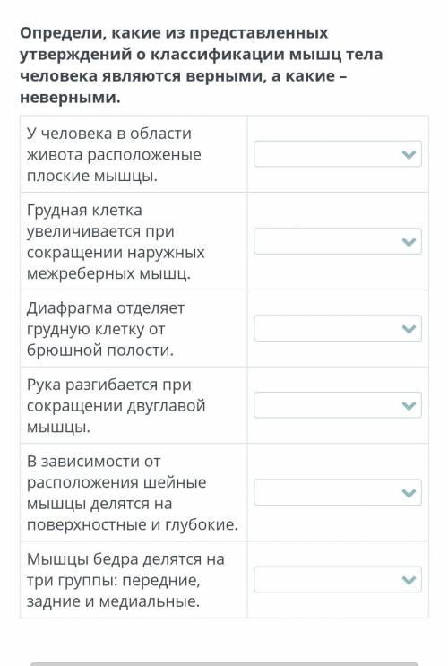 11 ФЕВРАЛЯ БИОЛОГИЯ - 8 БЛАБОРАТОРНАЯ РАБОТА «ИЗУЧЕНИЕ СТРОЕНИЯ МЫШЕЧНЫХ ТКАНЕЙ».КЛАССИФИКАЦИЯ МЫШЦ