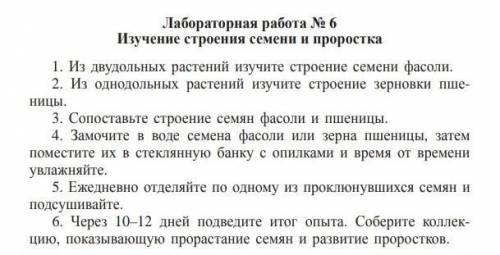 лобороторная работа по биологии 6 класс тема: Изучение строение семени и проростка ​с объяснением