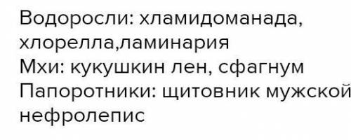 Что из представленного в списке НЕ является семенным растением? туя западная одуванчик лекарственный