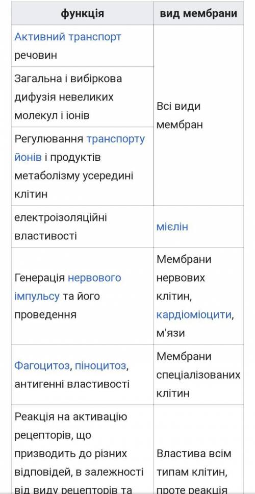 Обгрунтуйте взаємозв'язок будови та функцій клітинних мембран.