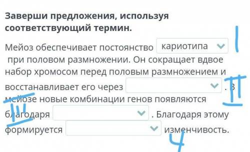 Нужно кариотипа,энергии,клетки 2 конъюгацию,оплодотворение,кроссинговер3 конъюгации,криссинговер,опл