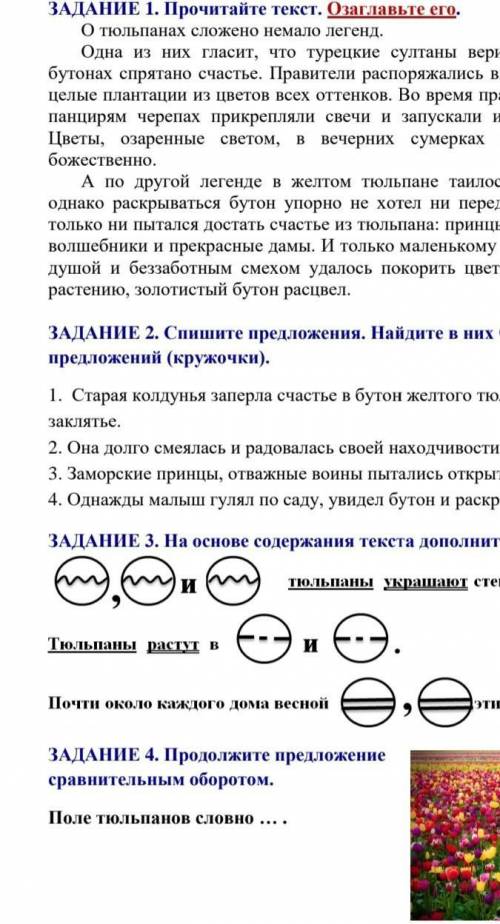 Смотрите картинку номер 4​