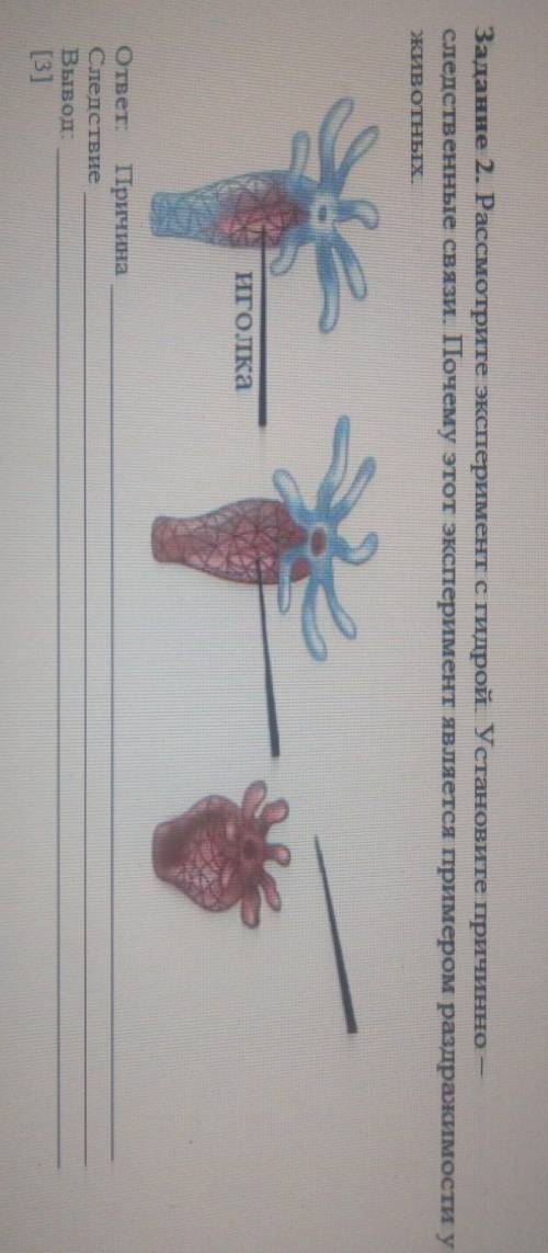 Задание 2. Рассмотрите эксперимент с гидрой. Установите причинно- Следственные связи. Почему этот эк