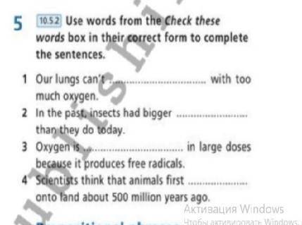 Use words from the check these words box in their correct form to complete the sentences.