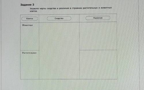 Задание 3 Укажите черты оодства и различия в строении растительных и животныхклеток .клеткаCСходство