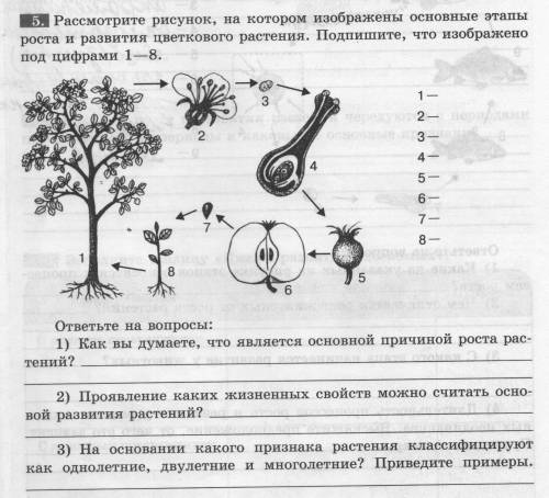 Биология 6 класс без готово домашнего задания и я возьму