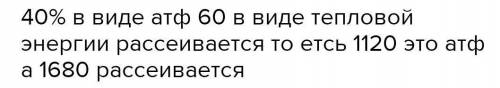 В процессе энергетического обмена неизвестное количество глюкозыподвергается потному расцеплению, пр