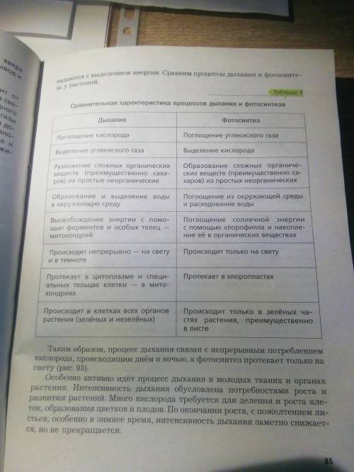 Маленький тест по биологии всё честно