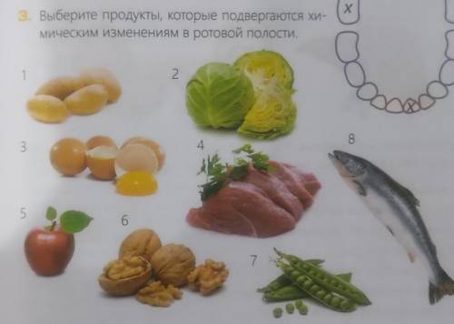 3. Выберите продукты, которые подвергаются хи-мическим изменениям в ротовой полости.​