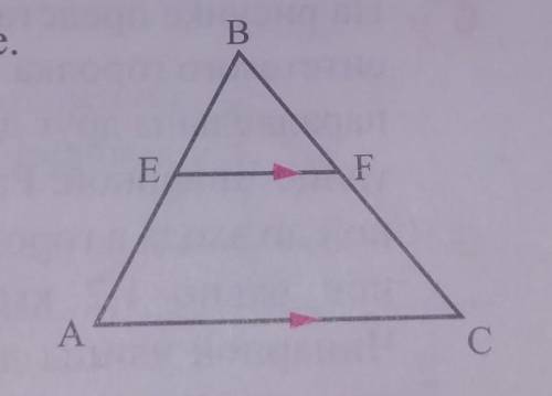 СРЧ ОЧЕНЬ ВАЖНО Зная, что в ∆АВС EF || АС, найдите требуемое.а) BE = ? если AB = 64 см и BF : FC = 5