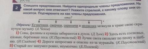 Спишите предложения Найдите однородные члены предложения на какой вопрос они отвечают Укажите стрелк