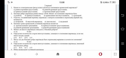 тест по пирамиде 1,2 вариант,кто прям хорошо шарит в них решить оба варианта