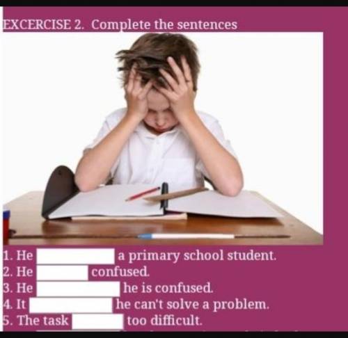 Exercise 2. Complete the sentences He a primary school​