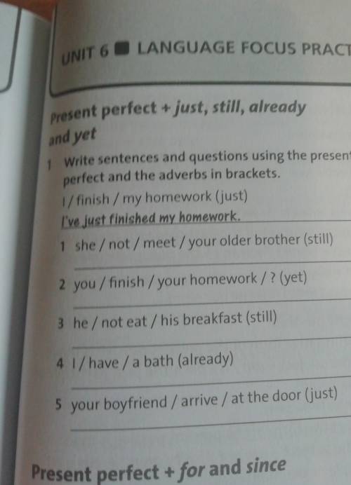 Write sentences and questions using the present perfect and the adverbs in brackets.​