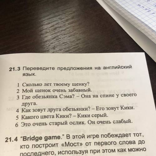 Переведите предложения на английский язык. 1 Сколько лет твоему щенку? 2 Мой щенок очень забавный. 3