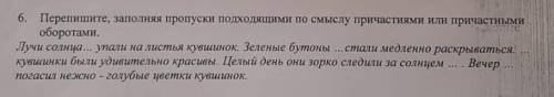 Перепишите, заполняя пропуски подходящими по смыслу причастиями или причастными оборотами