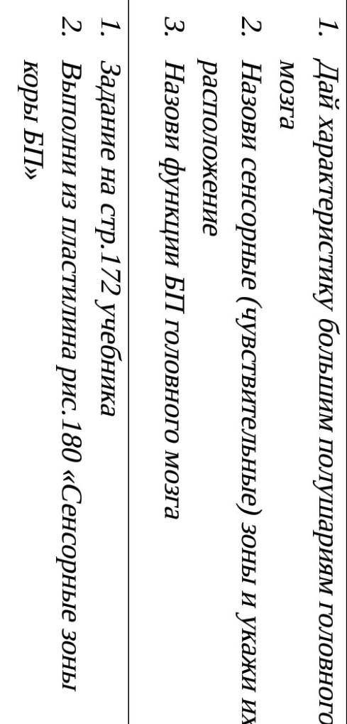 Дай характеристику большим полушариям головного мозга Назови сенсорные (чувствительные) зоны и укажи