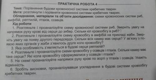 Зробіть будь ласка треба сильно. Розпишіть багато. ХІД РОБОТИ 6 ЗАВДАНЬ. По 3 або більше речень відп