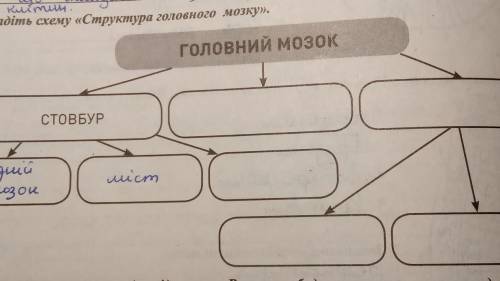 Складіть схему структура головного мозку.​