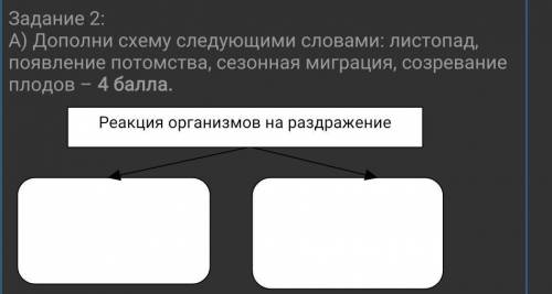 Дополни схему следующими словами: листопад, появление потомства, сезонная миграция, созревание плодо