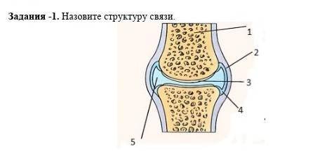 Назовите структуру связи.​