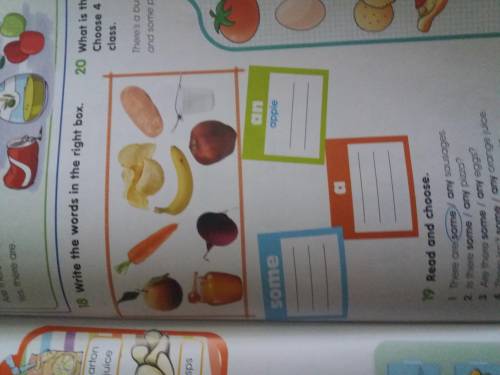 18 write the words in the right box