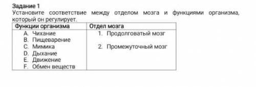 Задание 1 Установите соответствие между отделом мозга и функциями организма, который он регулирует.Ф