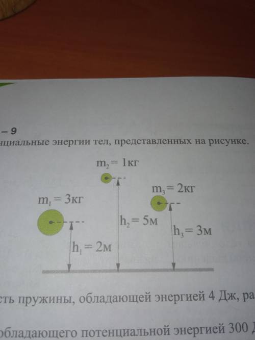 Сравните потенциальные энергии тел представленных на рисунке