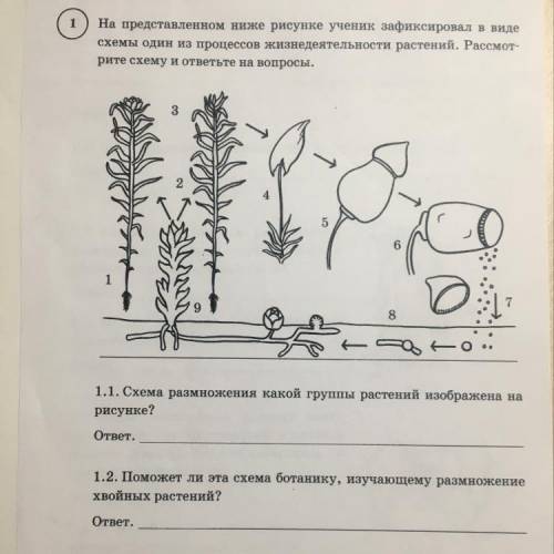 На представленном ниже рисунке ученик зафиксировал в виде схемы один из процессов жизнедеятельности