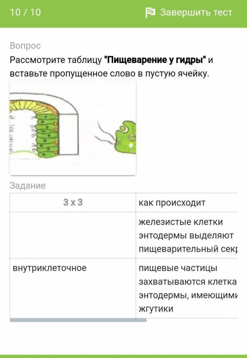 Рассмотрите таблицу Пищеварение у гидры и вставьте пропущенное слово в пустую ячейку.​