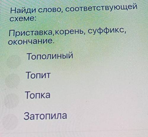 Найди слово, соответствующей схеме:Приставка,корень, суффикс,Окончание.ТополиныйТопитТопкаЗатопила​