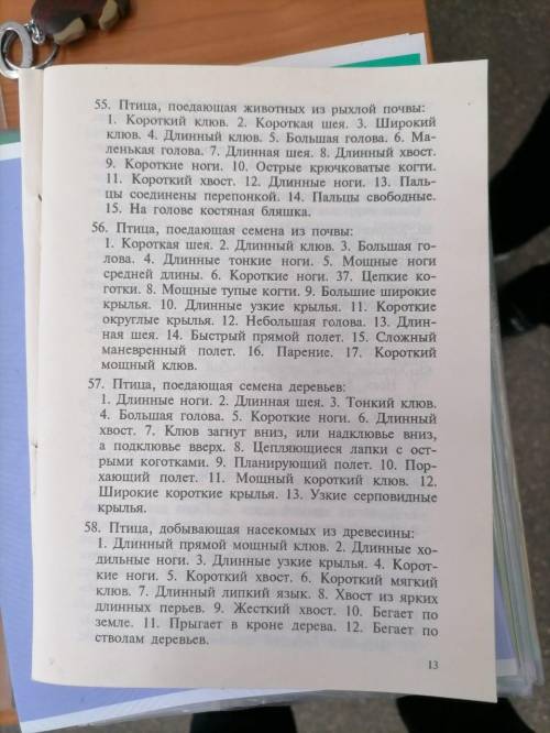 Запишите только цифры с теми пунктами, которые характерны для таких птиц