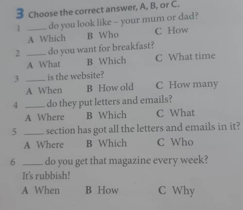 3 Choose the correct answer, A, B, or C. 1 do you look like - your mum or dad?A Which B WhoC How2. d