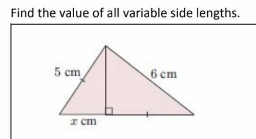 Find the value of all variable side lengths.