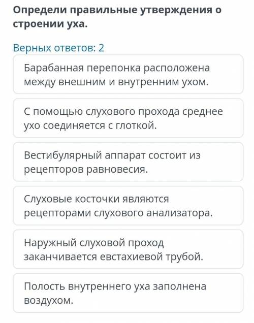 Определи правильные утверждения о строении ухаВерных ответа:2 ​