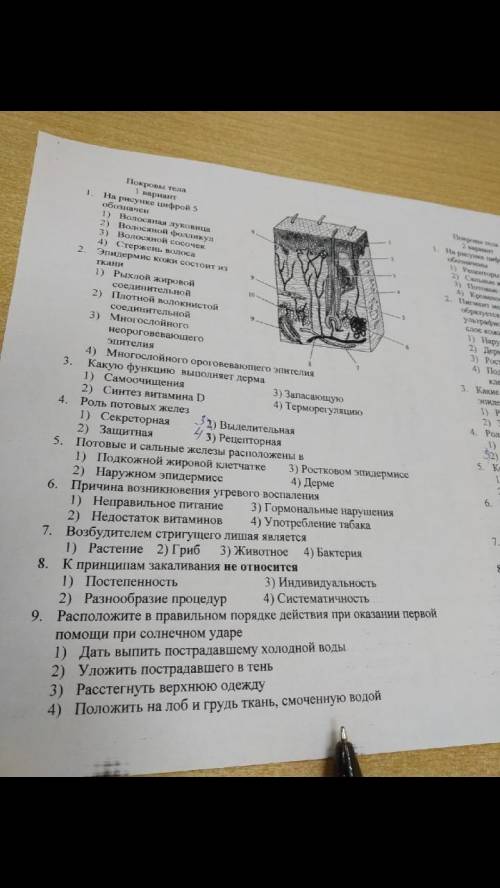 Здравствуйте, мне очень нужно по Биологии 8 класс, все вопрлсы в закреплённом фото файле. От очень н