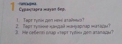 Почему их называют четверками?отчет нужен на третий вопрос перевод Написан выше ​