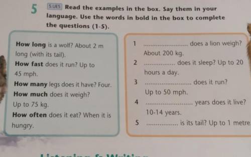 Read the examples in the box. Say them in your language. Use the words in bold in the box to complet