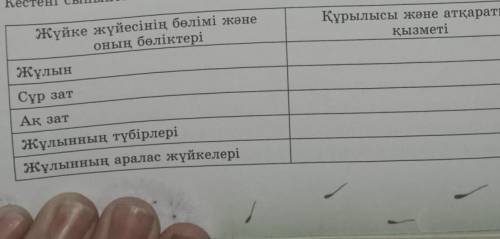 помагите помагите помагите помагите помагите помагите помагите помагите помагите помагите помагите п