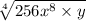 \sqrt[4]{256 {x}^{8 } \times y }