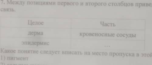 Между позициями первого и второго столбцов приведённой ниже таблицы имеется определённая связь ​