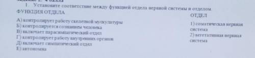 1. Установите соответствие между функцией отдела нервной системы и отделом. ФУНКЦИЯ ОТДЕЛАОТДЕЛА) ко